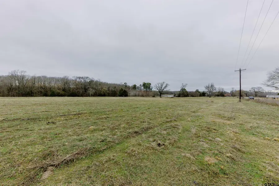 TBD Cr 4930, Quitman, TX 75783 - #3