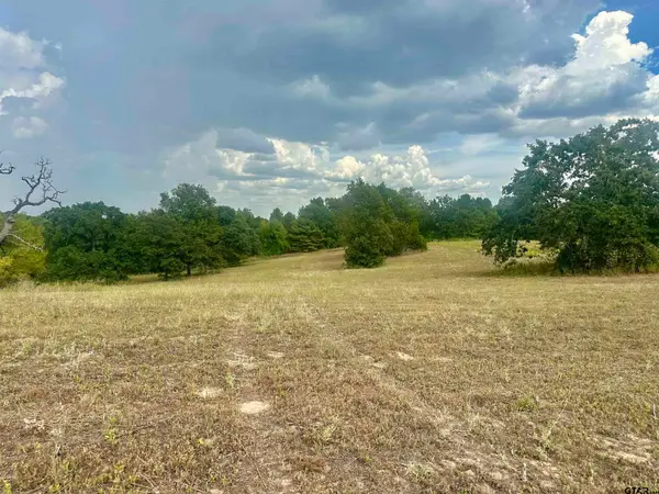 TBD 3520 Tract 2, Brownsboro, TX 75756