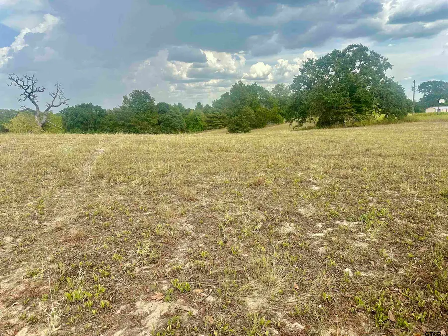 TBD 3520 Tract 2, Brownsboro, TX 75756 - #2