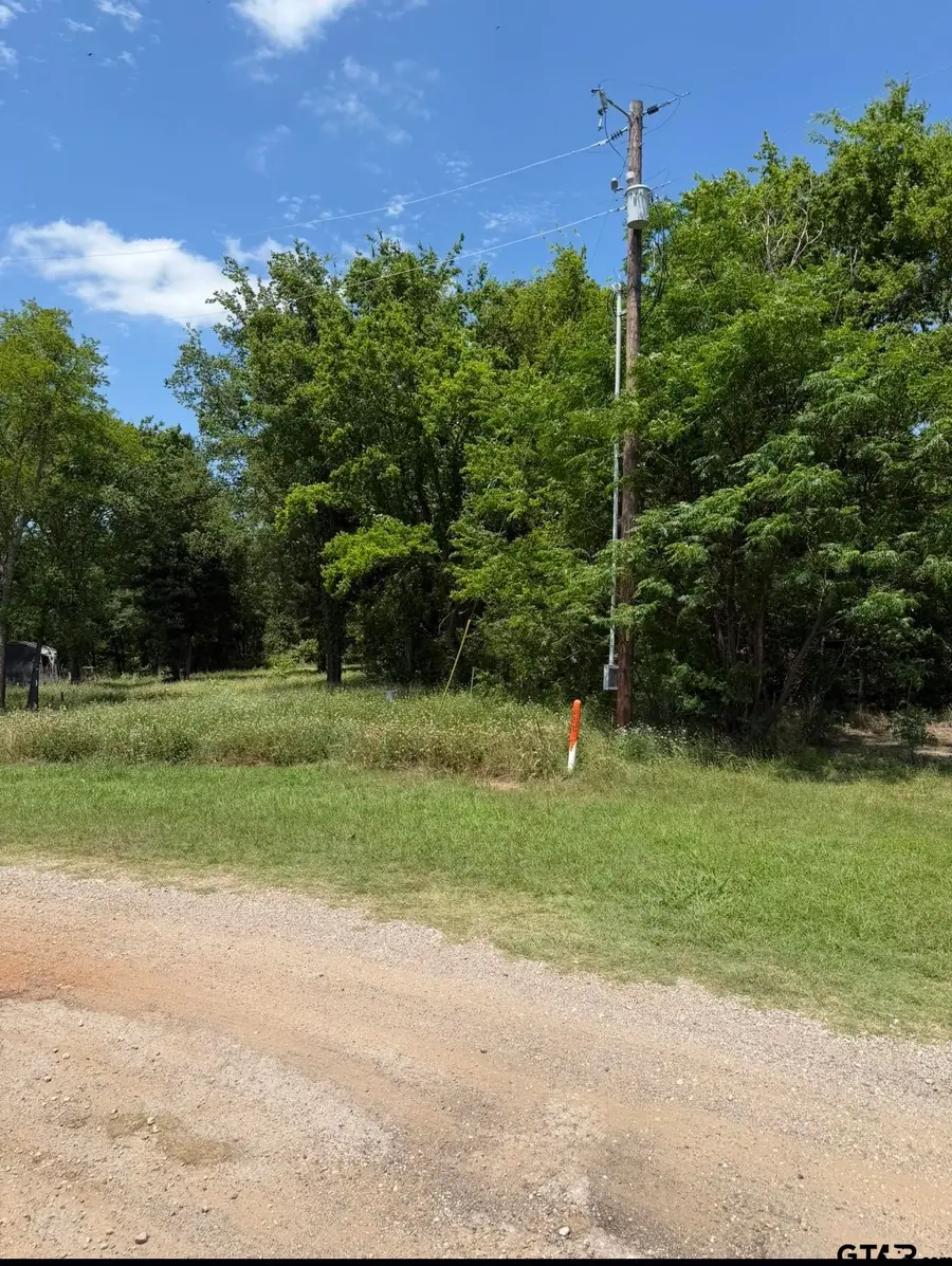 0000 Waterfront Row, Quitman, TX 75783 - #2