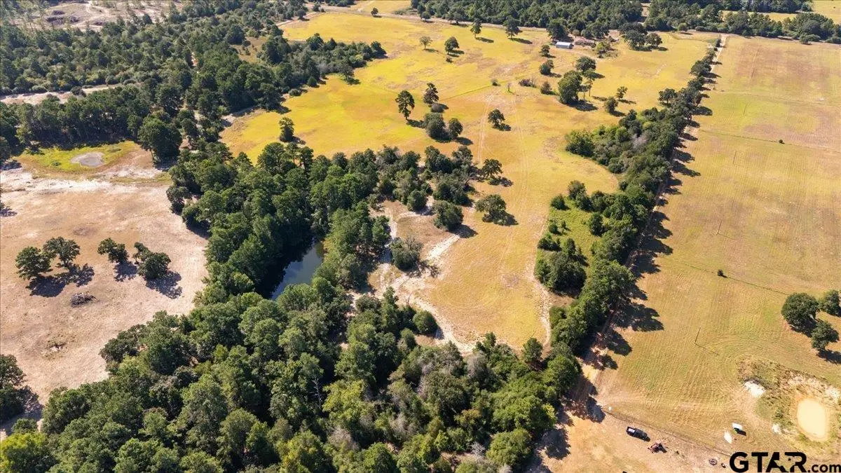 1000 An County Road 1208, Grapeland, TX 75844 - #1