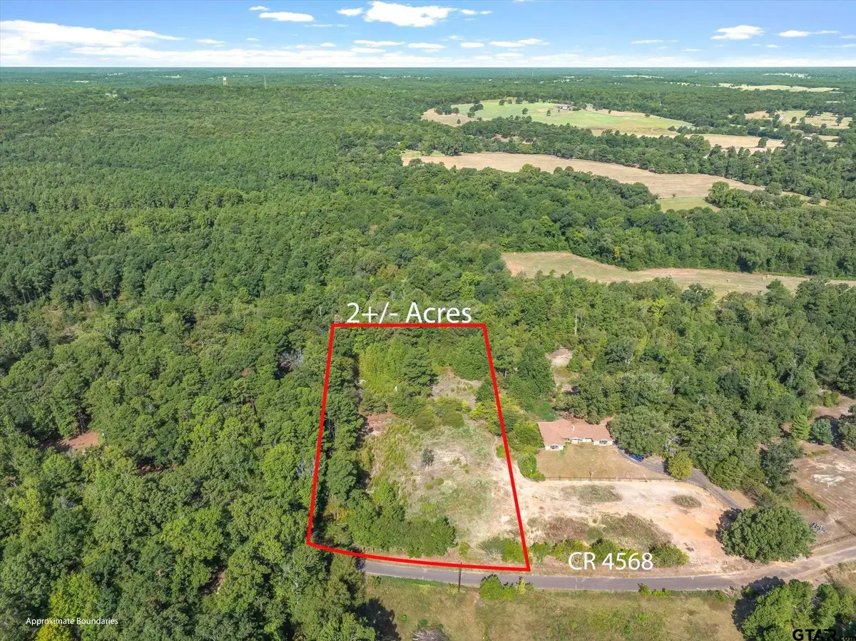 TBD Cr 4568, Winnsboro, TX 75494 - #1