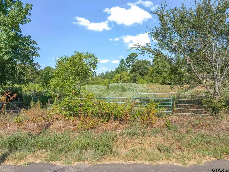TBD Cr 4568, Winnsboro, TX 75494 - #3