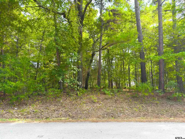 534 Caroline Lane, Bullard, TX 75757