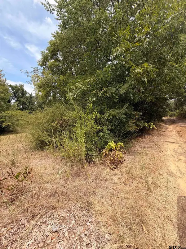 3330 Jacob, Tyler, TX 75702