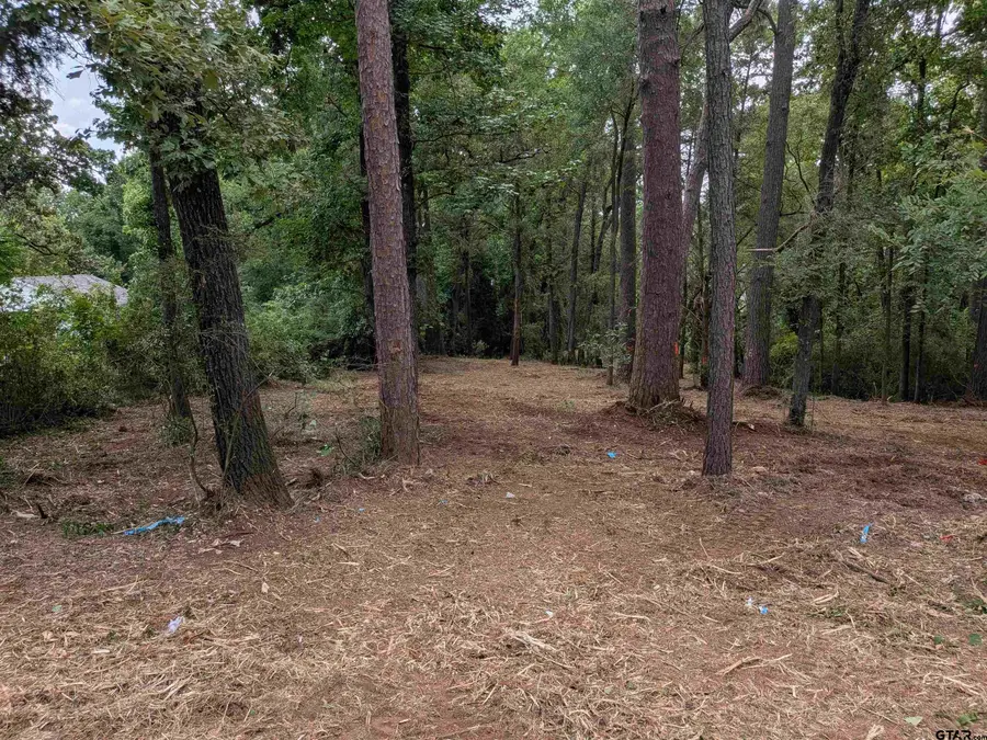 2721 S Donnybrook Ave, Tyler, TX 75701 - #2