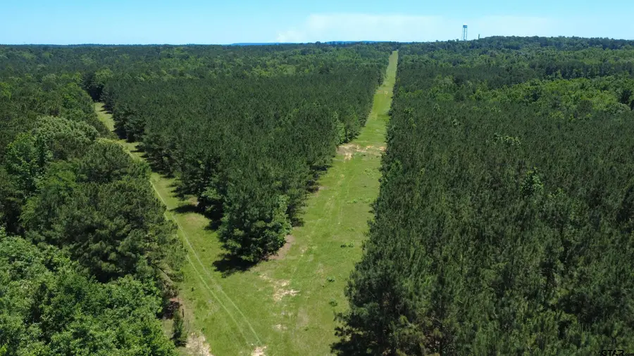 27.5 ac Cr 383, Palestine, TX 75801 - #2
