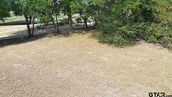 301 E Walnut Street, Mabank, TX 75147