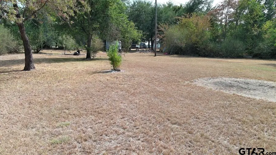 301 E Walnut Street, Mabank, TX 75147 - #2