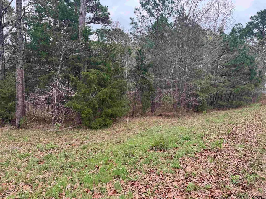 Lots 9-11 Lake Gladewater Rd, Gladewater, TX 75647 - #2