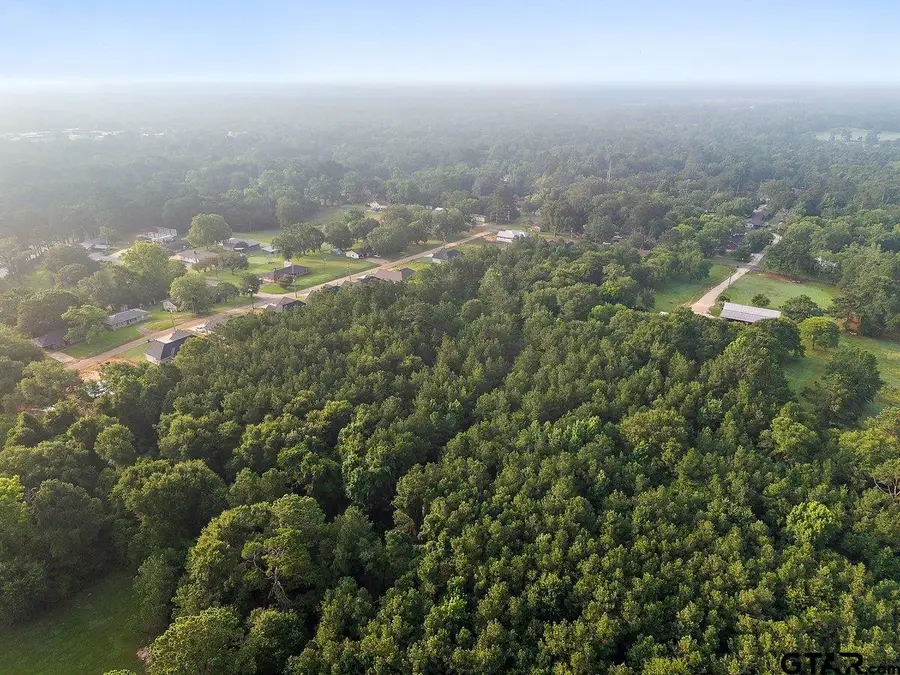 TBD 21.44-acres, Jordan St, Rusk, TX 75785 - #2
