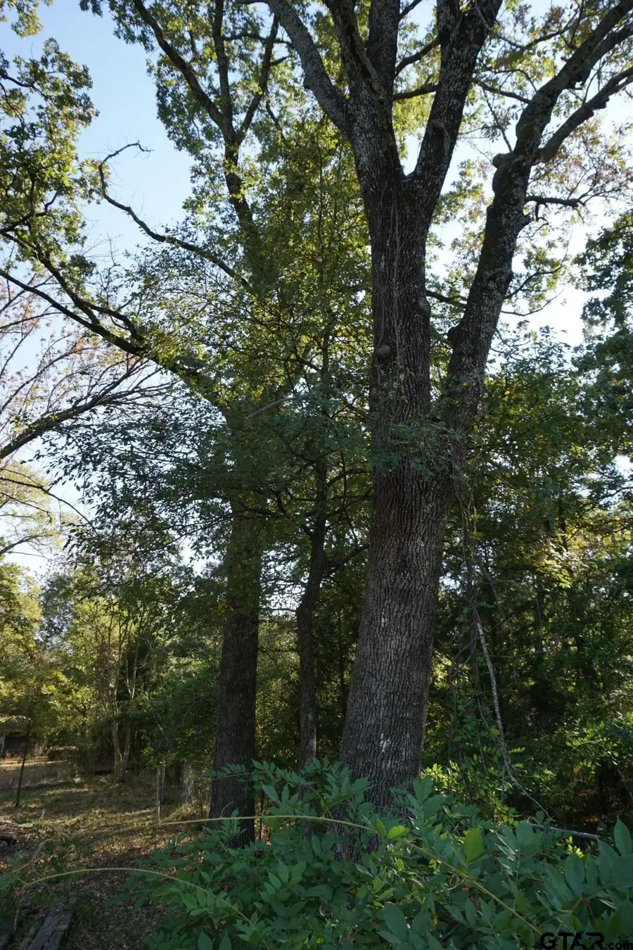 1714 Doc Holiday, Log Cabin, TX 75148 - #3