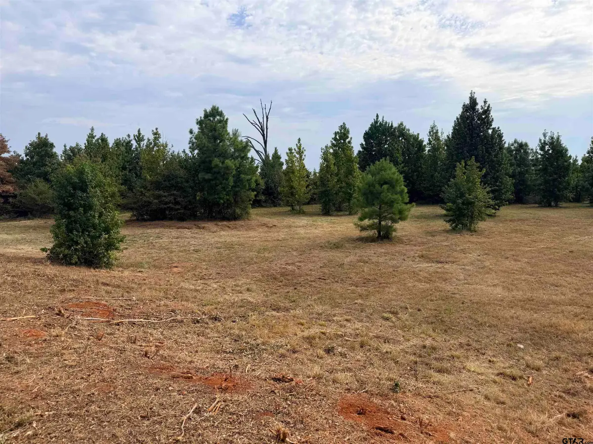 Tbd County Road 353 S, Henderson, TX 75654 - #1