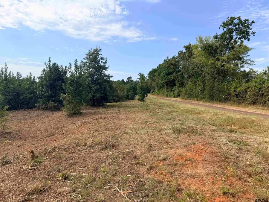 Tbd County Road 353 S, Henderson, TX 75654 - #2
