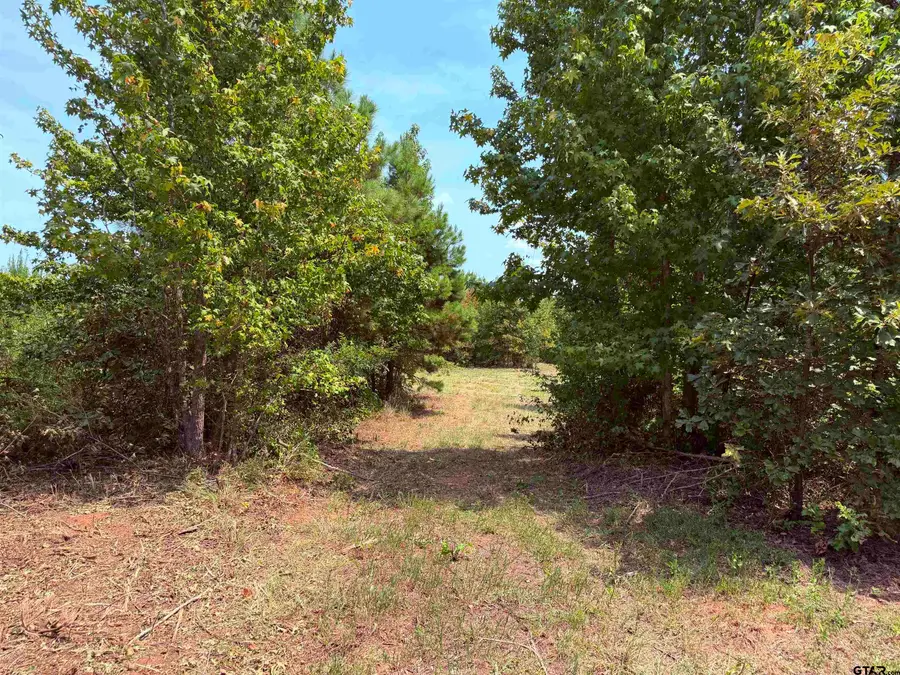 Tbd County Road 353 S, Henderson, TX 75654 - #3