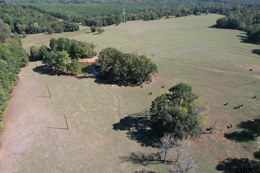 19743 S County Road 3227, Cushing, TX 75760 - #3