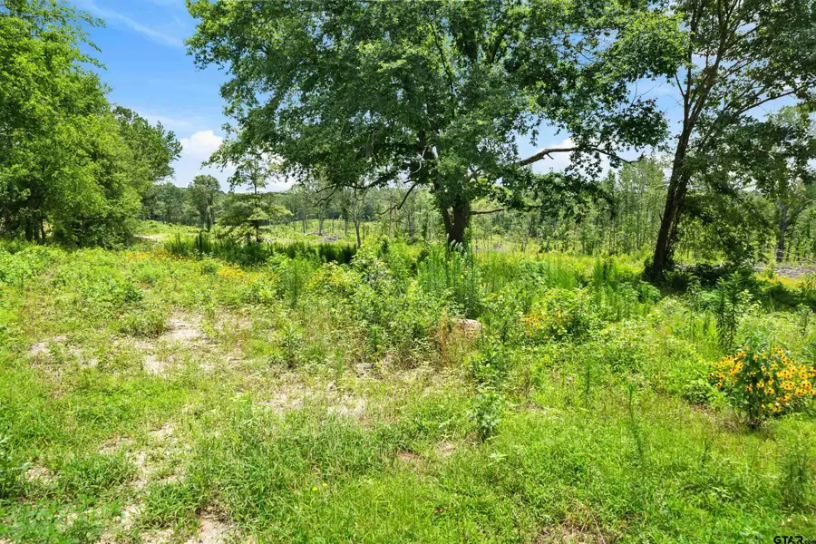 TBD Highway 31 E, Tyler, TX 75705 - #3