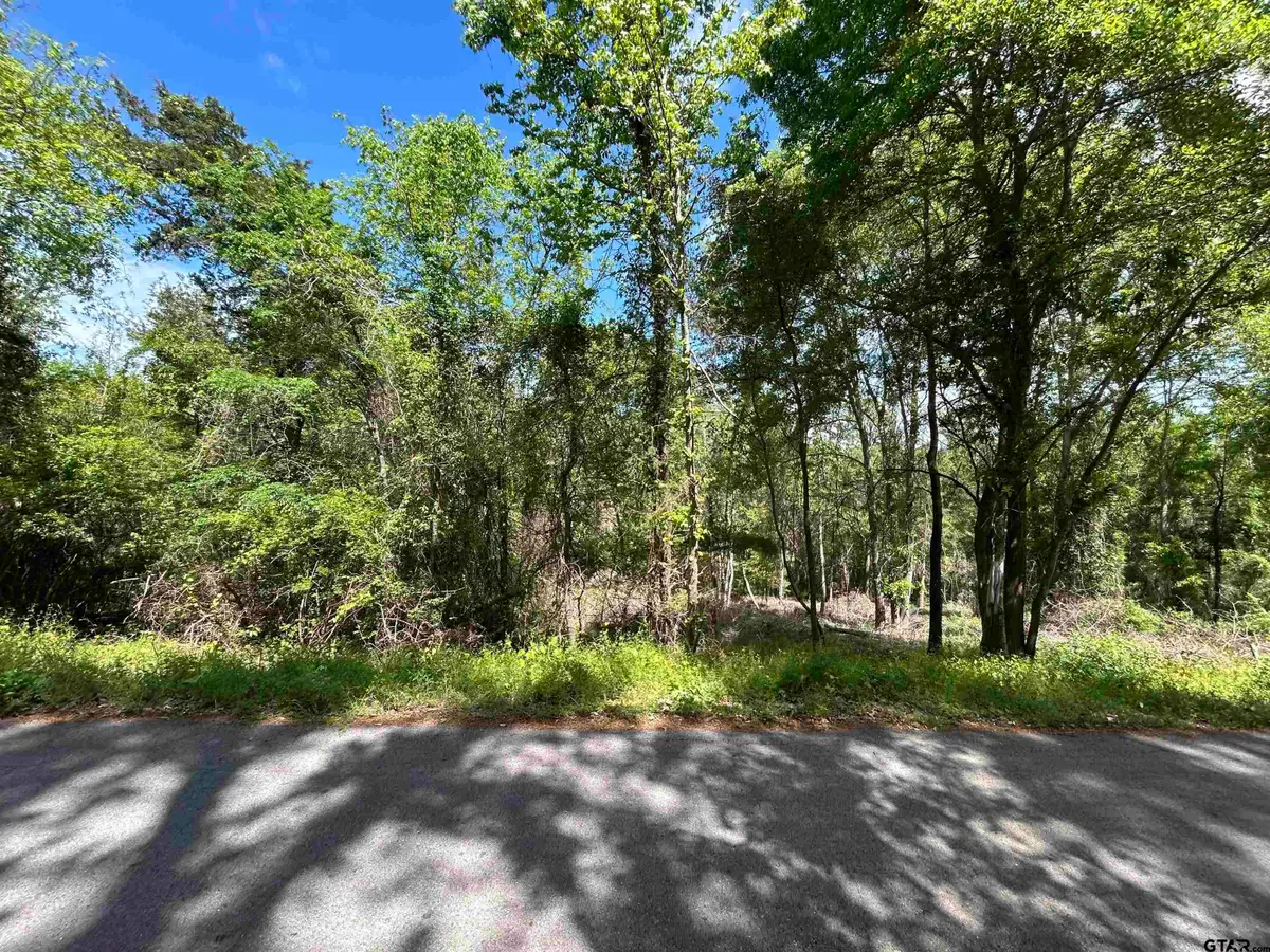13904 County Road 1250, Tyler, TX 75709 - #1
