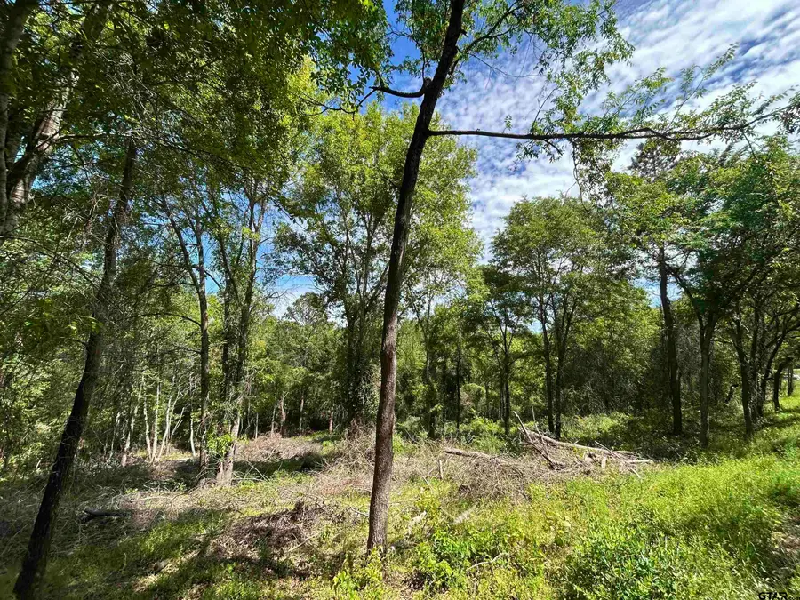 13904 County Road 1250, Tyler, TX 75709 - #3