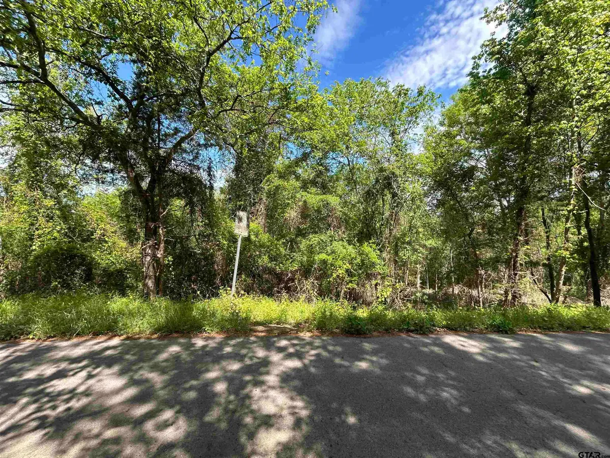 13908 County Road 1250, Tyler, TX 75709 - #1