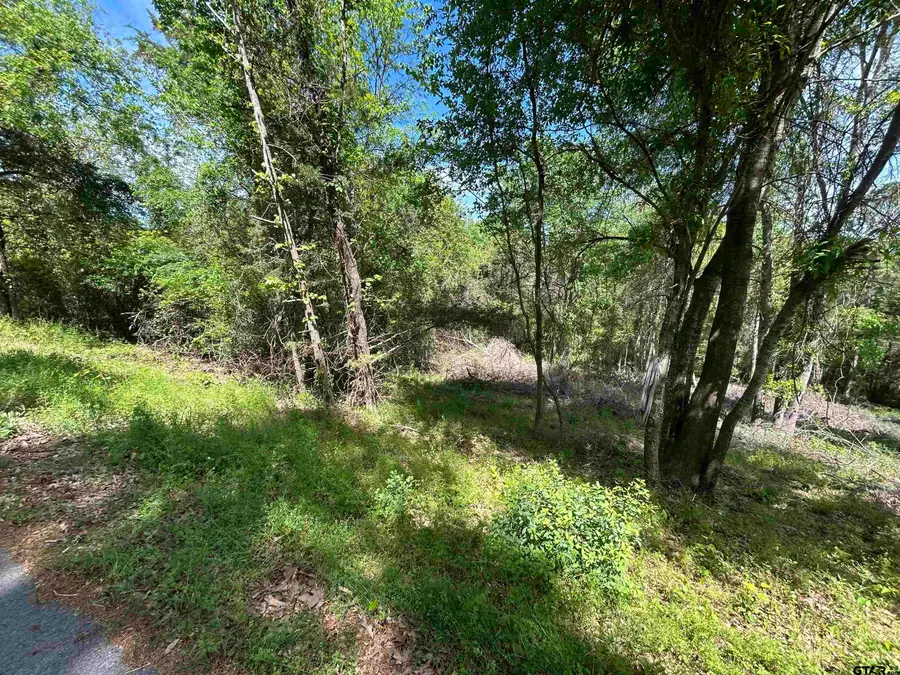 13908 County Road 1250, Tyler, TX 75709 - #3
