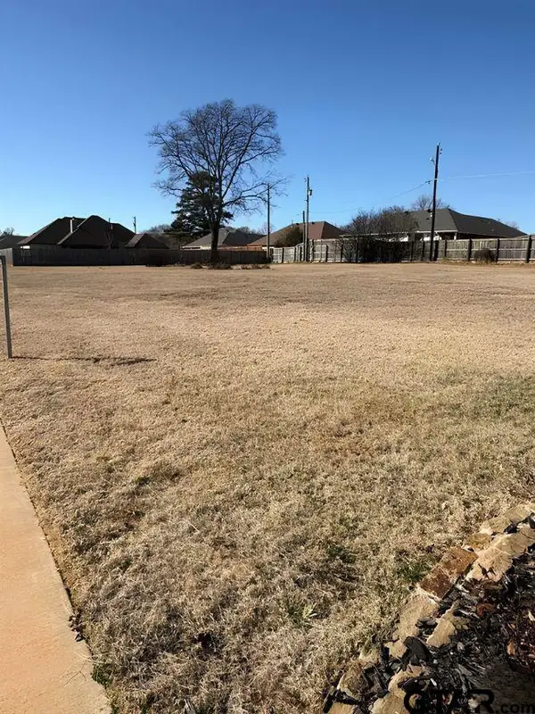 399 Maji Road, Whitehouse, TX 75791
