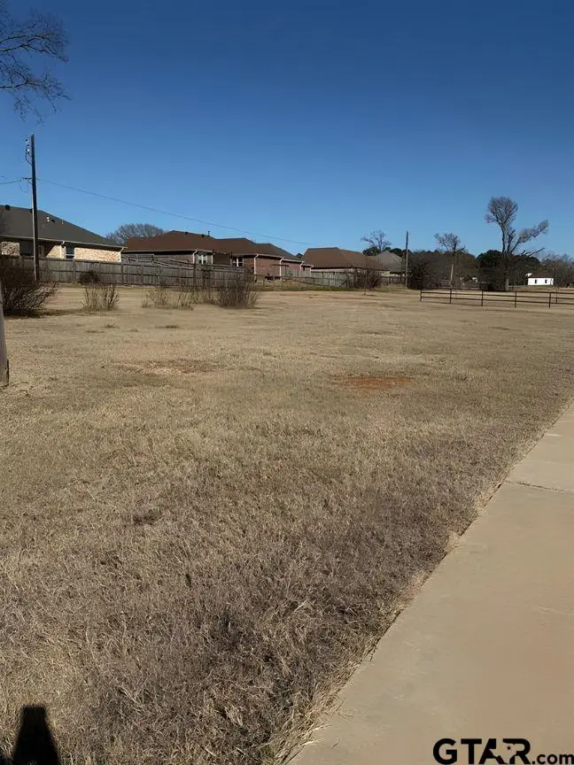 399 Maji Road, Whitehouse, TX 75791 - #2