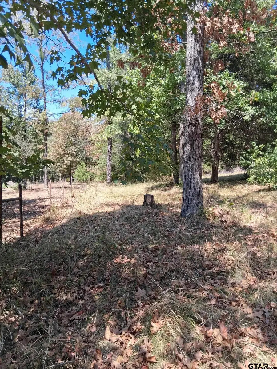 195 Hollow Oak Ln, Big Sandy, TX 75755 - #2