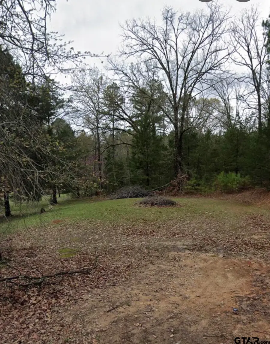 195 Hollow Oak Ln, Big Sandy, TX 75755 - #3