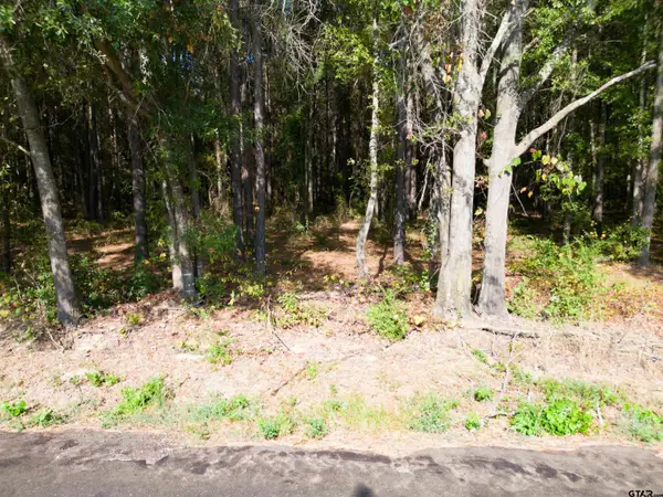 TBD Cr 4313, Pittsburg, TX 75686