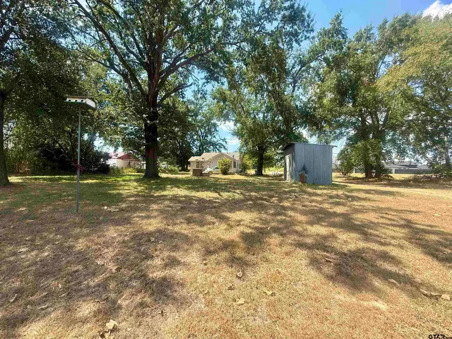 18733 Fm 2493, Flint, TX 75762 - #3