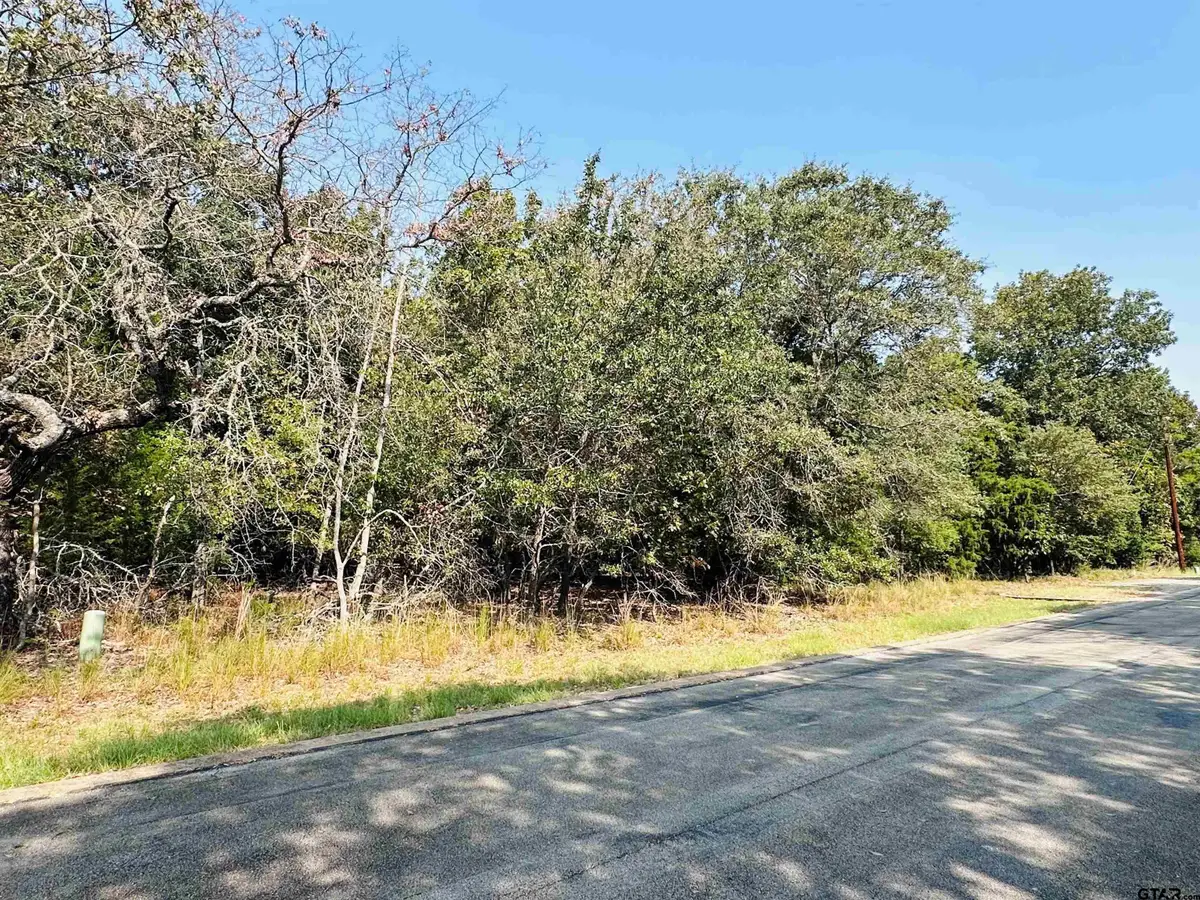 36-40 E Pedernales, Athens, TX 75752 - #1