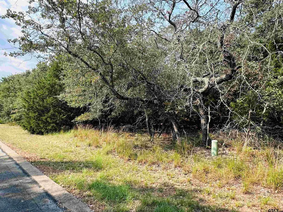 36-40 E Pedernales, Athens, TX 75752 - #2