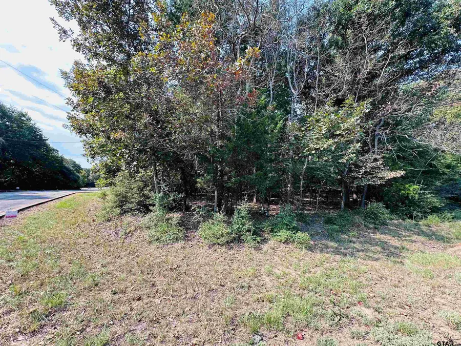 36-40 E Pedernales, Athens, TX 75752 - #3