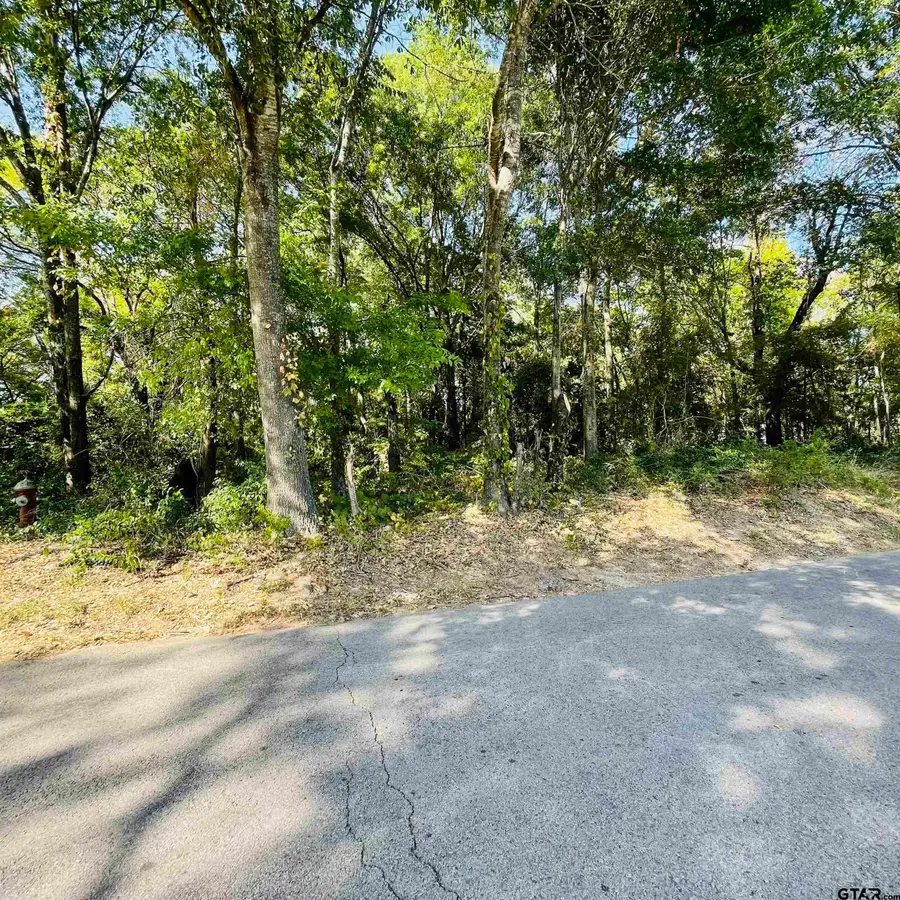 1729 Moseley, Tyler, TX 75701 - #2