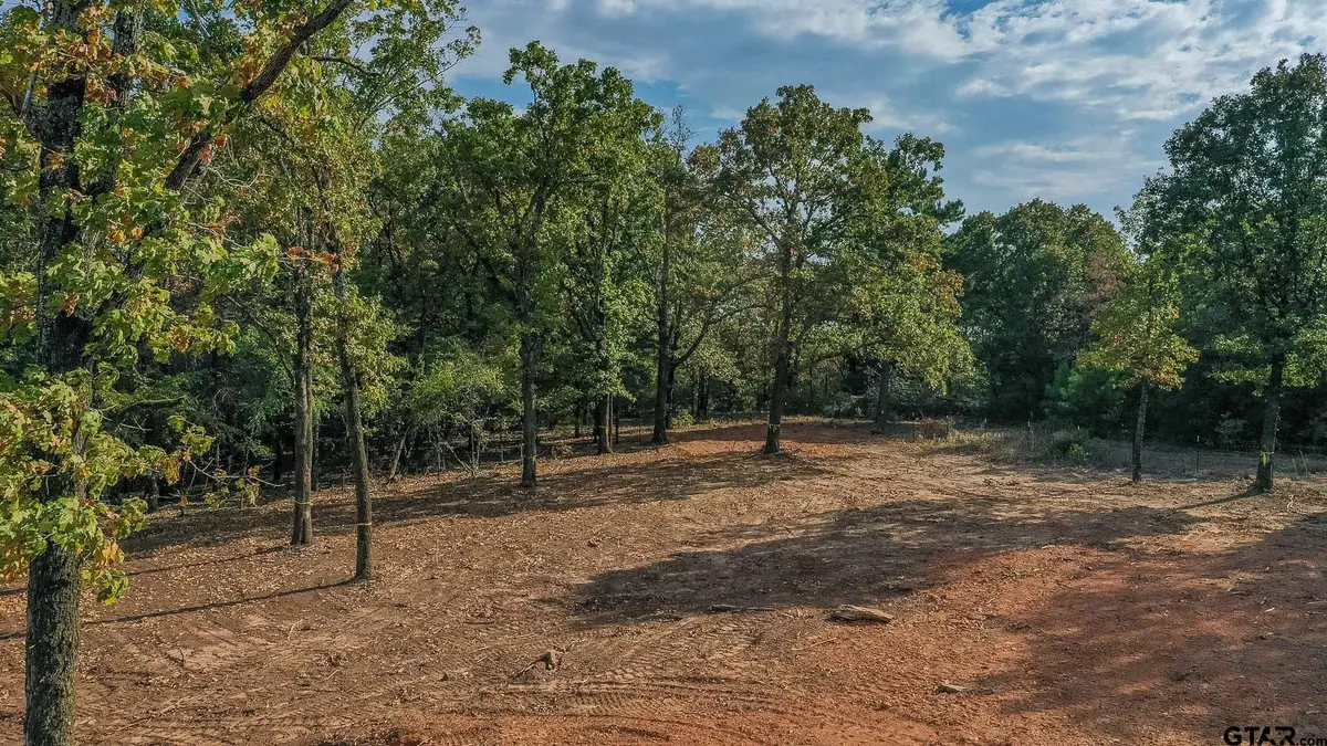 19477 Cedarpark Pl, Lindale, TX 75771 - #1