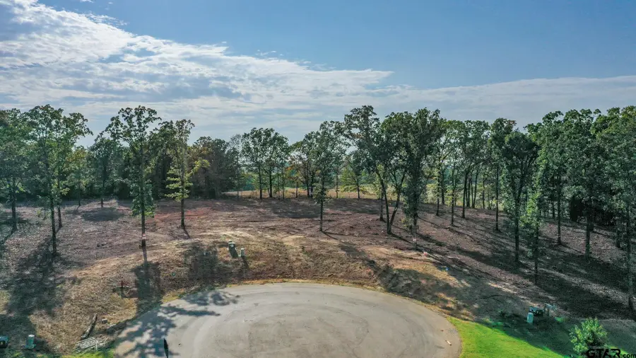 19477 Cedarpark Pl, Lindale, TX 75771 - #2