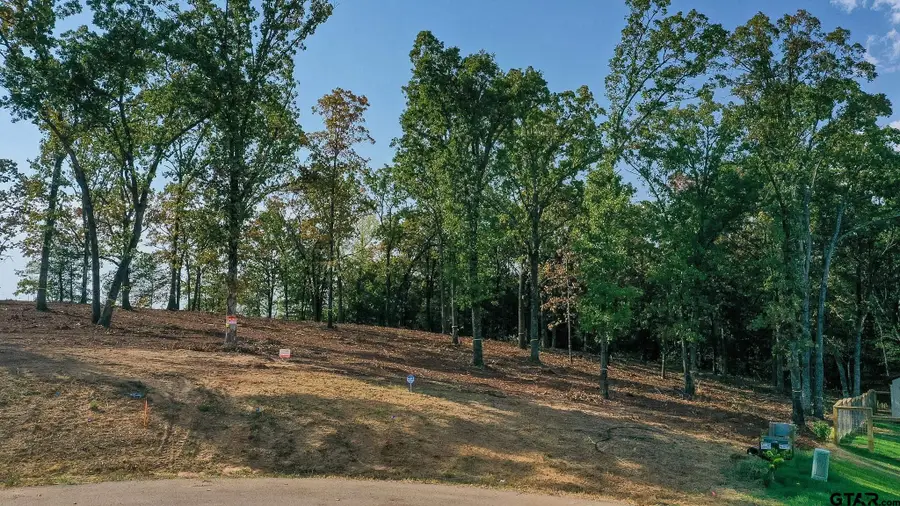 TBD Cedarpark Pl, Lindale, TX 75771 - #2