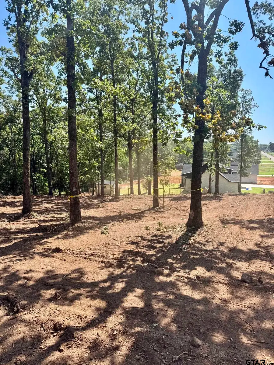 TBD Cedarpark Pl, Lindale, TX 75771 - #3