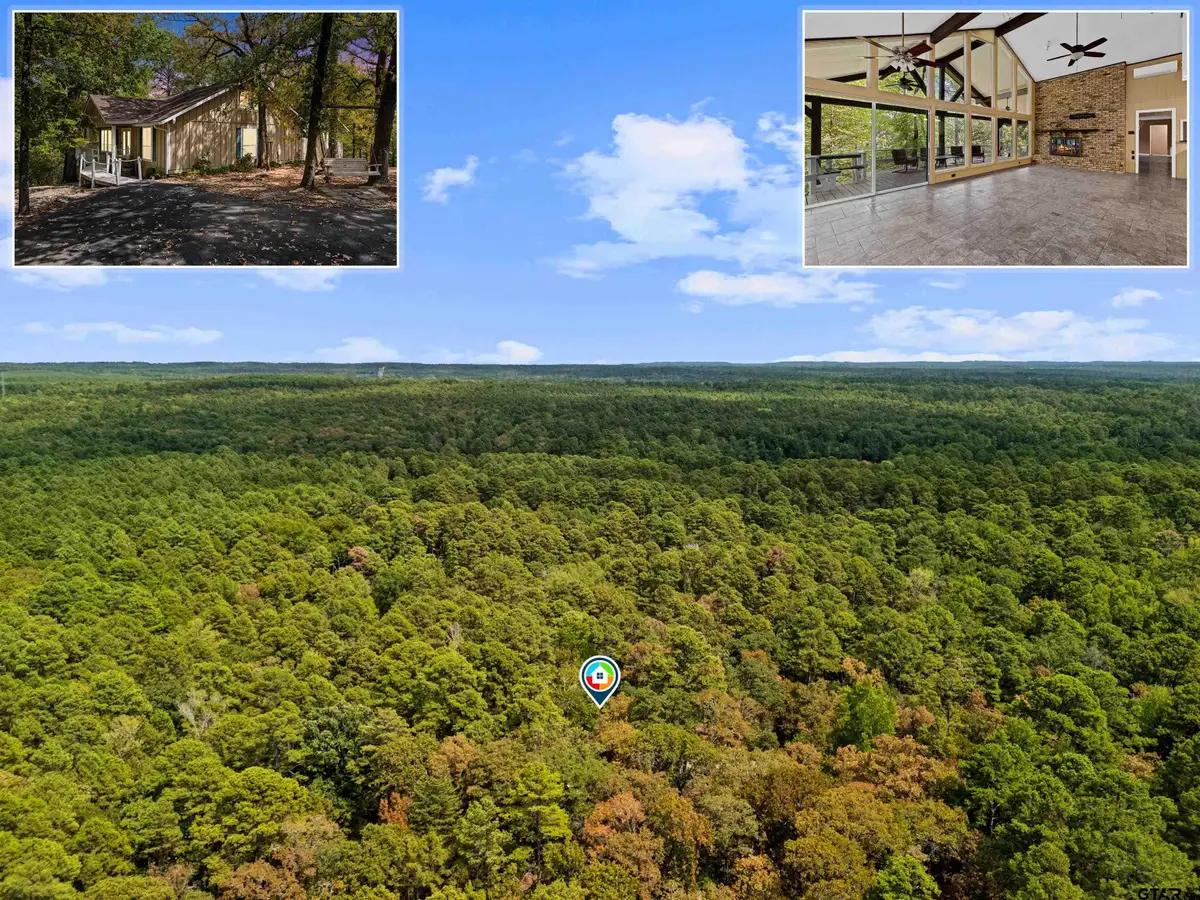 1392 W Holly Trail, Holly Lake Ranch, TX 75765 - #1