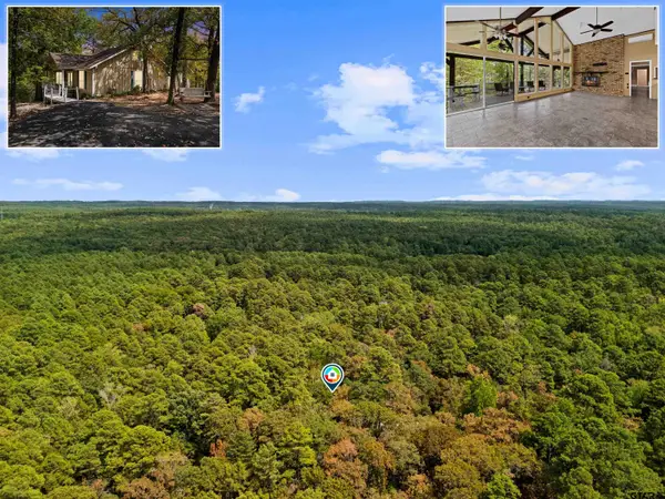 1392 W Holly Trail, Holly Lake Ranch, TX 75765