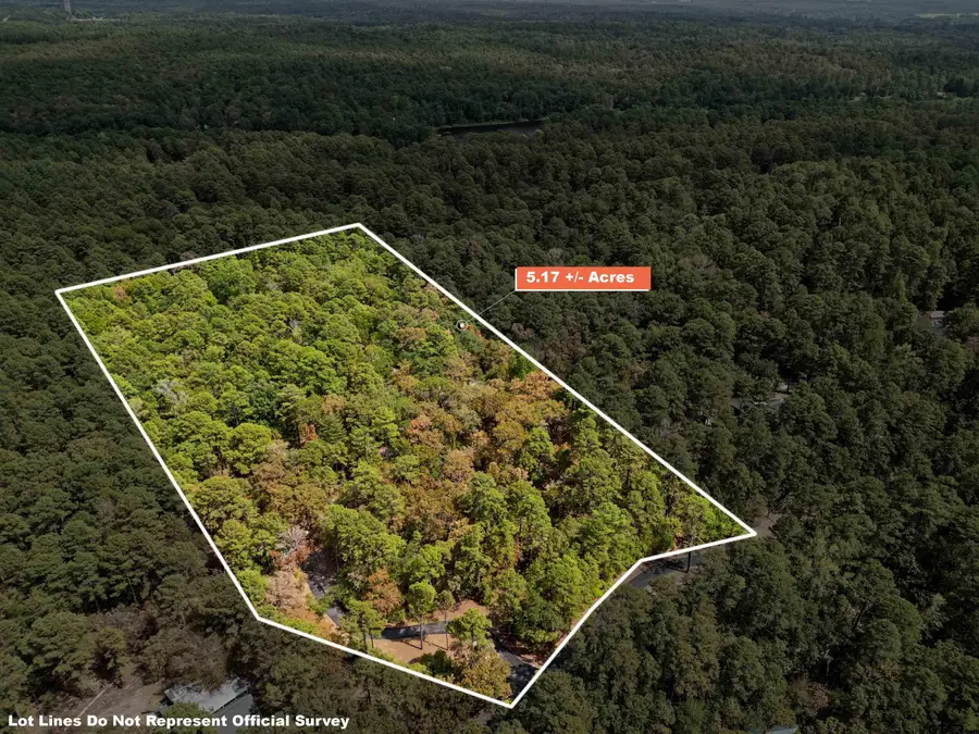 1392 W Holly Trail, Holly Lake Ranch, TX 75765 - #2