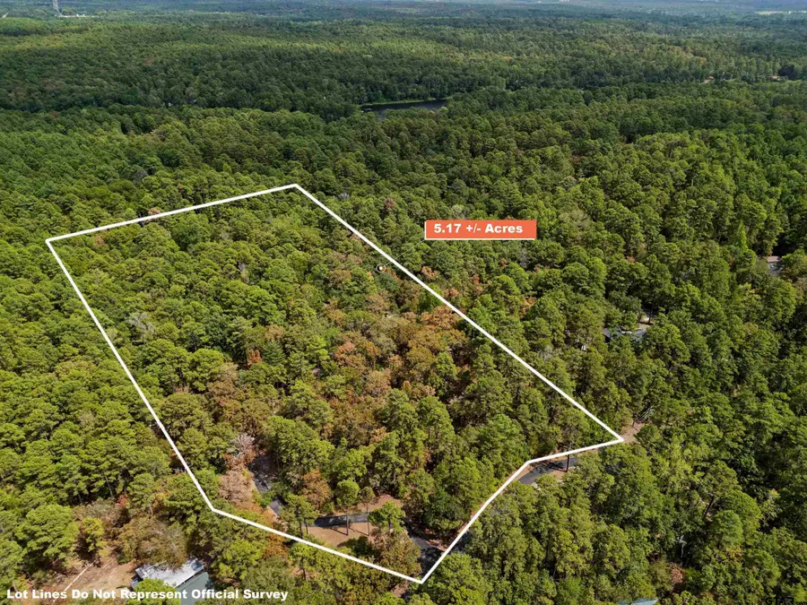 1392 W Holly Trail, Holly Lake Ranch, TX 75765 - #3