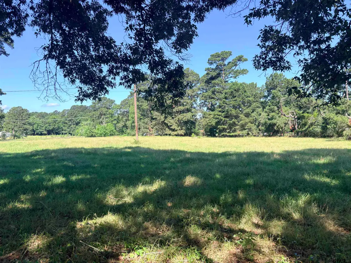 22173 Highway 135, Troup, TX 75789 - #1