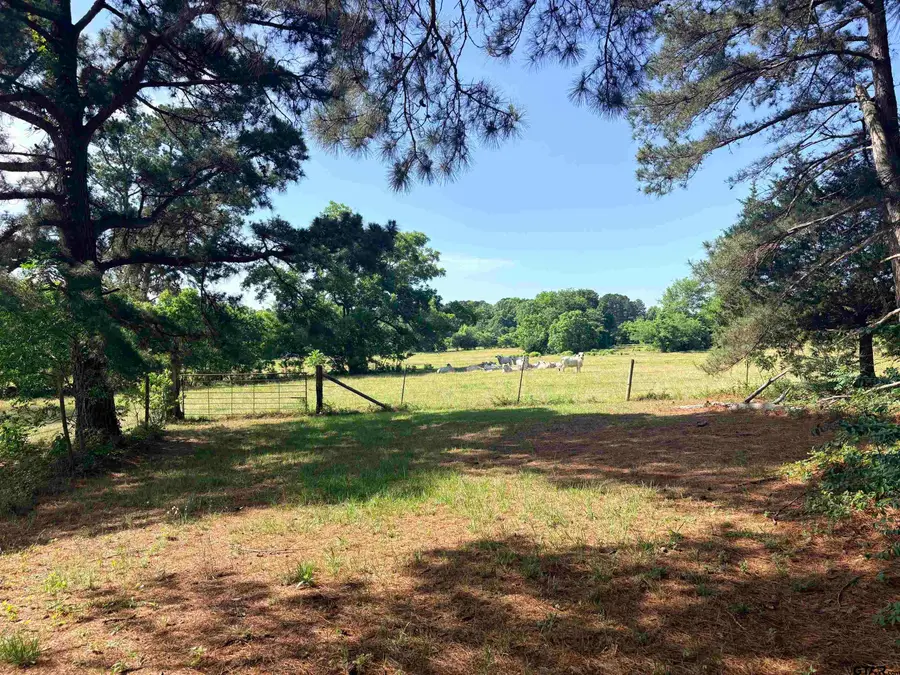 22173 Highway 135, Troup, TX 75789 - #2