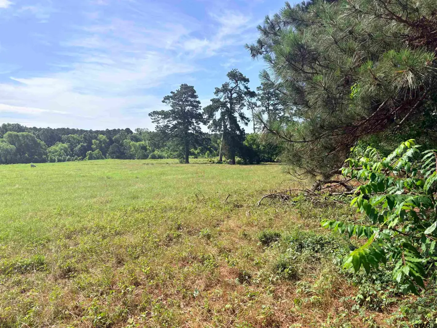 22173 Highway 135, Troup, TX 75789 - #3