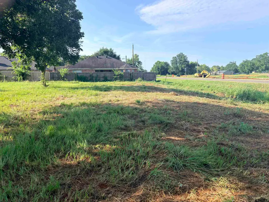 TBD Fm 2493, Bullard, TX 75757 - #3