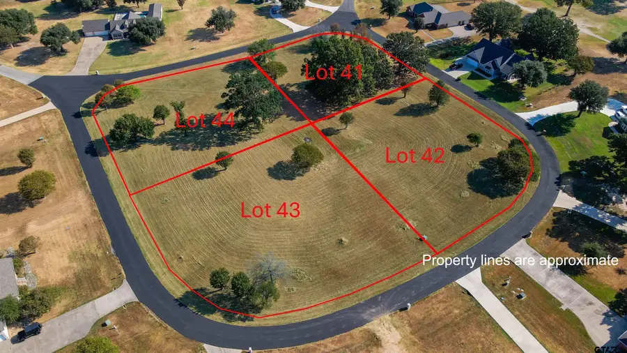 Lot 44 Private Road 5941, Emory, TX 75440 - #3