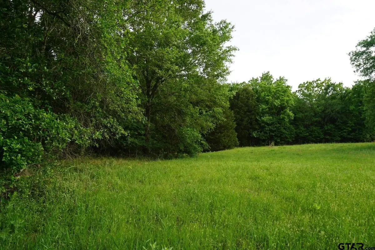 11919 Cr 1200, Malakoff, TX 75148 - #1