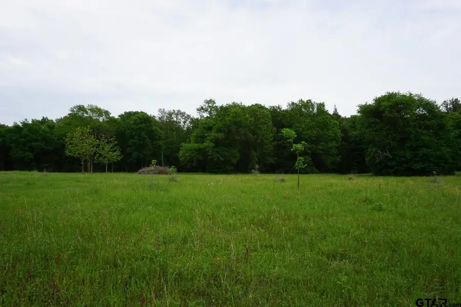 11919 Cr 1200, Malakoff, TX 75148 - #3